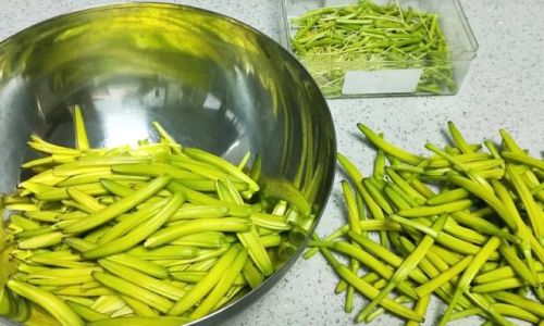 How to Make the Most Delicious Fresh Day Lily Salad