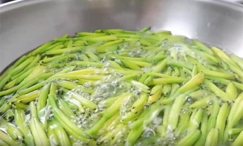 How to Make the Most Delicious Fresh Day Lily Salad