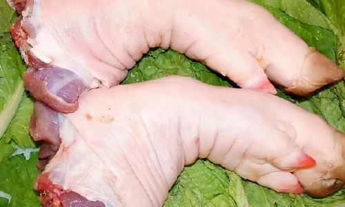 How to Effectively Freeze Pig Bones for Optimal Preservation