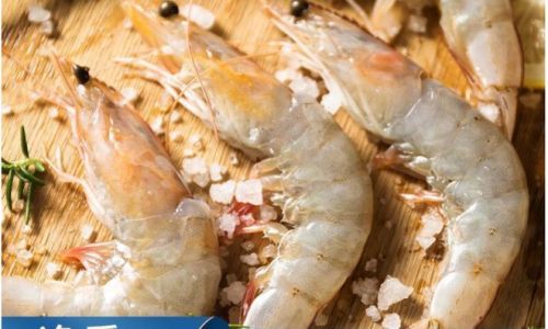 How to Effectively Freeze Shrimp for Optimal Freshness and Preservation