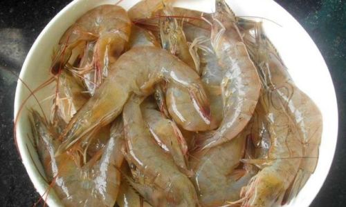 How to Effectively Freeze Shrimp for Optimal Freshness and Preservation