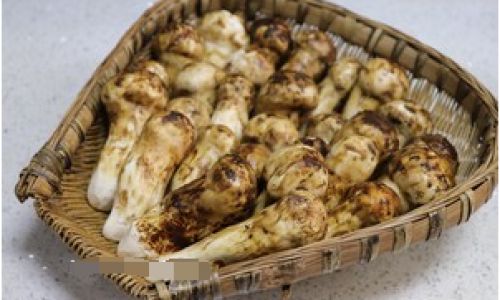 How to Preserve Matsutake Mushrooms Through Freezing