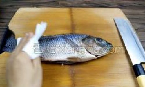 How to Efficiently Clean a Fishs Internal Organs