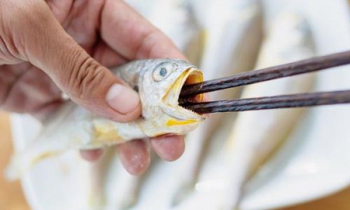 How to Efficiently Clean a Fishs Internal Organs