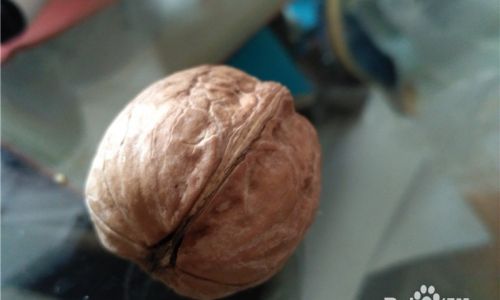 Mastering the Art of Quickly Removing Walnut Husks:Effective Techniques and Tips