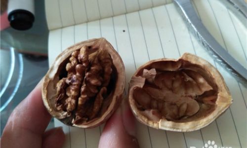 Mastering the Art of Quickly Removing Walnut Husks:Effective Techniques and Tips