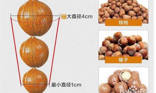 Mastering the Art of Quickly Removing Walnut Husks:Effective Techniques and Tips