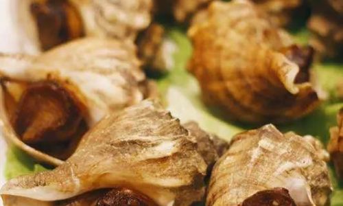 How to Grill Sea Snails:A Culinary Adventure