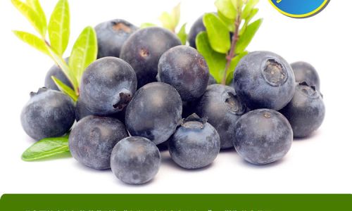 How to Determine if Blueberries Are Spoiled