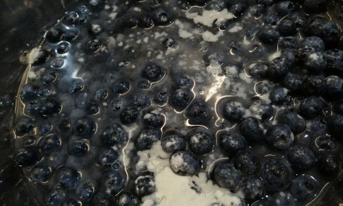 How to Determine if Blueberries Are Spoiled