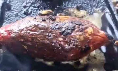 How to Determine if Your Barbecue is Perfectly Cooked