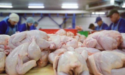 How to Determine if Chicken is Cooked Thoroughly:A Comprehensive Guide