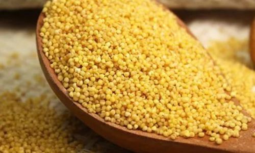 How to Determine if Yellow Millet is Fully Cooked