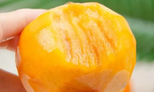 Overcoming the Astringency of Persimmons:Effective Strategies and Tips