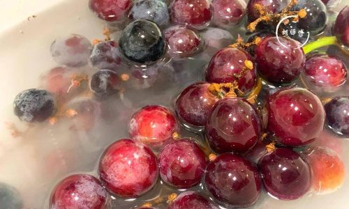 Tackling the Astringency in Grapes:Comprehensive Strategies for a Smoother Taste
