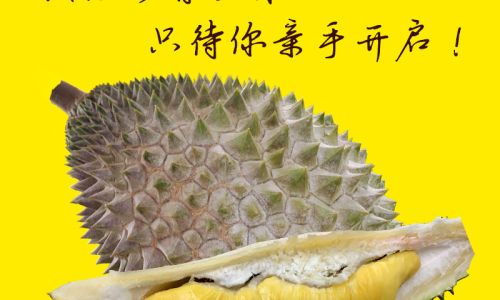 How to Safely Thaw Durian Frozen in Liquid Nitrogen