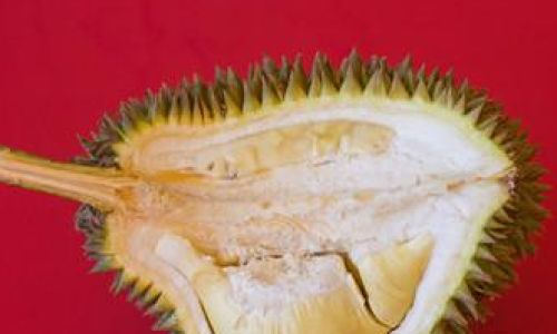 How to Thaw Durian:A Comprehensive Guide