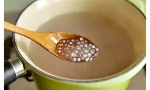 Mastering the Art of Cooking Sapodilla Seeds Sago)Perfectly