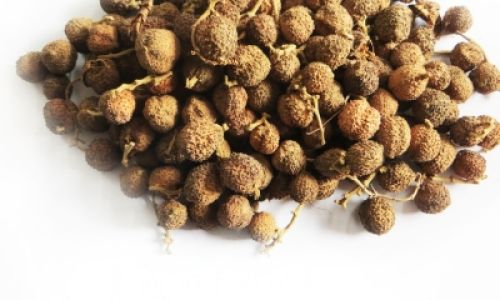 How to Effectively Dry Polygonatum Sibiricum:A Comprehensive Guide
