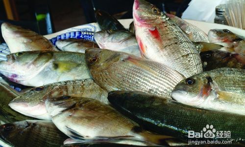 How to Identify Fresh Fish:A Comprehensive Guide