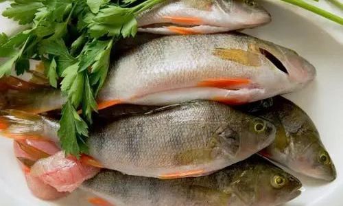 How to Identify Fresh Fish:A Comprehensive Guide