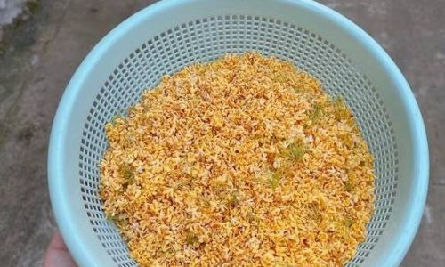 How to Preserve the Fragrance of Osmanthus Flowers Simply