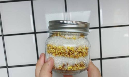 How to Preserve the Fragrance of Osmanthus Flowers Simply