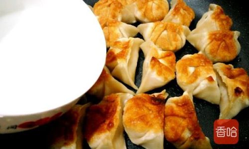 Mastering the Art of Pan-Fried Dumplings