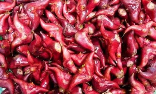 How to Peel Cooked Water Chestnuts Efficiently