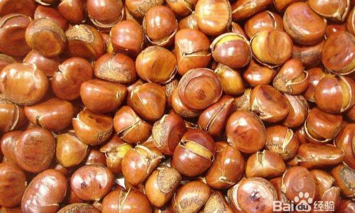 How to Peel Fresh Chestnuts Efficiently