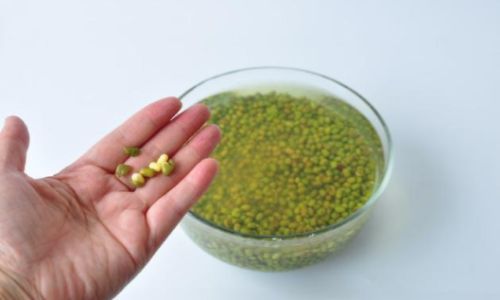 How to Efficiently Peel Mung Beans:A Comprehensive Guide