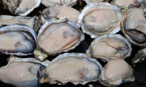 How to Shuck an Oyster:A Comprehensive Guide