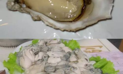 How to Shuck an Oyster:A Comprehensive Guide