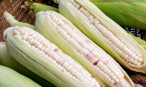 How to Peel Dry Glutinous Corn Efficiently