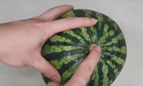 How to Determine if a Watermelon is Ripe:A Comprehensive Guide