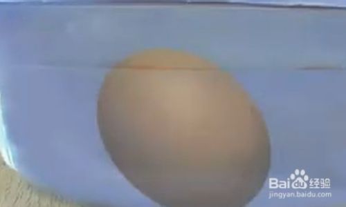 How to Discern the Quality of Eggs Effectively