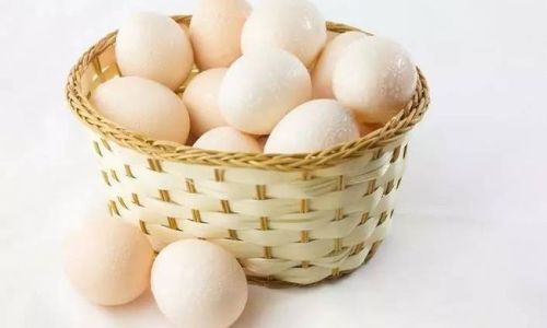 How to Discern the Quality of Eggs:A Comprehensive Guide