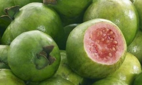How to Determine if a Guava Psidium guajava)is Ripe