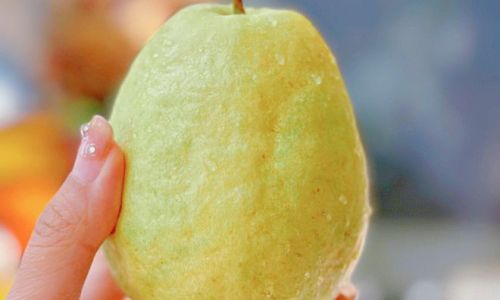 How to Determine if a Guava Psidium guajava)is Ripe