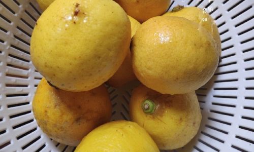 How to Prevent Mold on Preserved Lemons