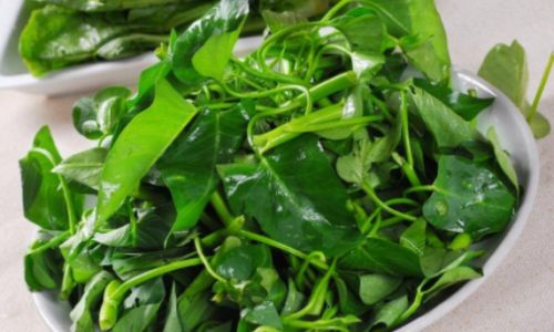How to Prevent Water Spinach from Turning Black:A Comprehensive Guide
