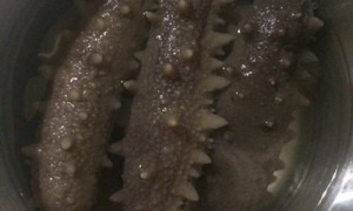 Mastering the Art of Sea Cucumber Soaking:A Comprehensive Guide