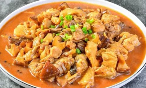 Mastering the Art of Cooking Tender,Flavorful,and Fall-Apart Chicken Stew