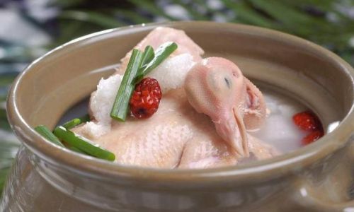 How to Cook a Delicious and Nutritious Pigeon Soup