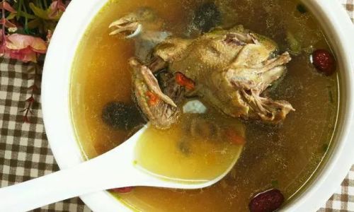 How to Cook a Delicious and Nutritious Pigeon Soup