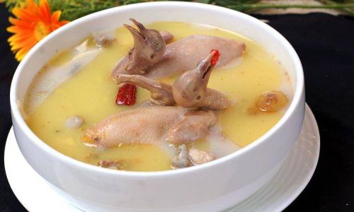 How to Cook a Delicious and Nutritious Pigeon Soup