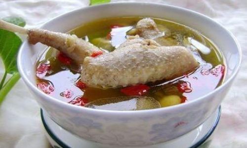 How to Stew Pigeon for Enhanced Flavor and Maximum Nutrition