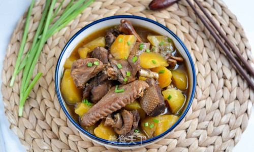 Mastering the Art of Cooking a Delicious Goose Stew