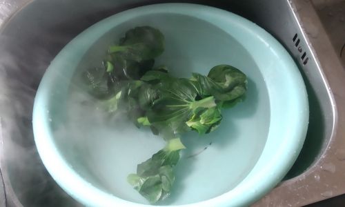 How to Properly Store Leafy Greens for Optimal Freshness