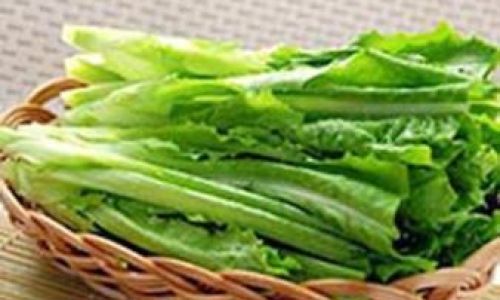 How to Properly Store Leafy Greens for Optimal Freshness